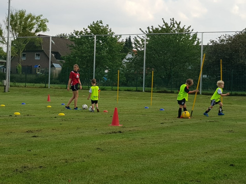 IMG-20190829-WA0002.jpg